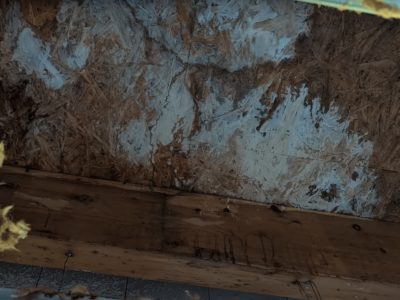 VIDEO: Dům s plochou střechou starý 2,5 roku (pro silné povahy)